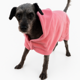 THE POOCHO - Because your bestie needs one too.