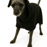 THE POOCHO - Because your bestie needs one too.